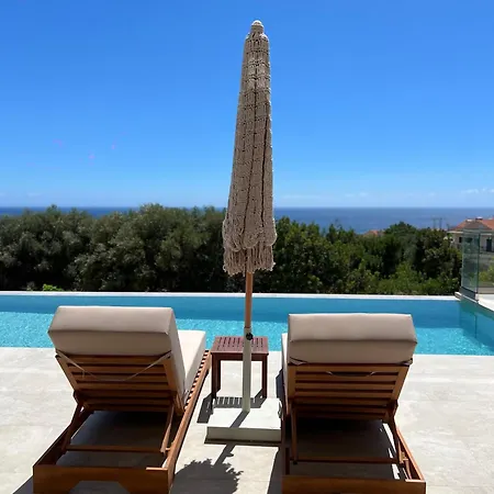 Willa Thalassasense Lourdata *